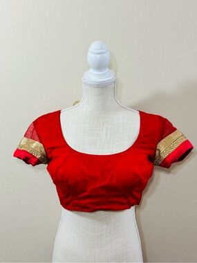 Sari Saree Indian blouse choli crop top tassel tie back embroidered beaded